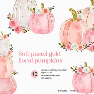 Pink Pumpkin Clipart, Pastel Pumpkins, Autumn Clipart, Watercolor Pumpkin, Floral Pumpkin, Watercolor Clipart, Watercolor Roses, Floral PNG