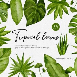 Tropical Leaves, Leaves Clipart, Botanical Clipart, Greenery Clip Art, Foliage Clipart, Watercolor Clipart, Tropical Foliage, Monstera PNG