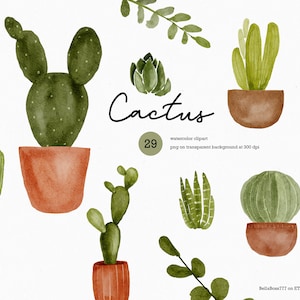 Clipart Aquarelle, Clipart Cactus, Clipart Plantes Grasses, Pots De Cactus, Pots De Plantes En Terre Cuite, Plantes D'intérieur, Plantes En Pot, Aquarelle De Cactus