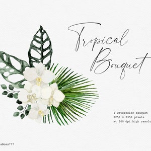 Tropical Flower, Monstera Clipart, Tropical Leaves, Tropical Clipart, Watercolor Flower, Orchid Clipart, Botanical Clipart, Wedding Clipart