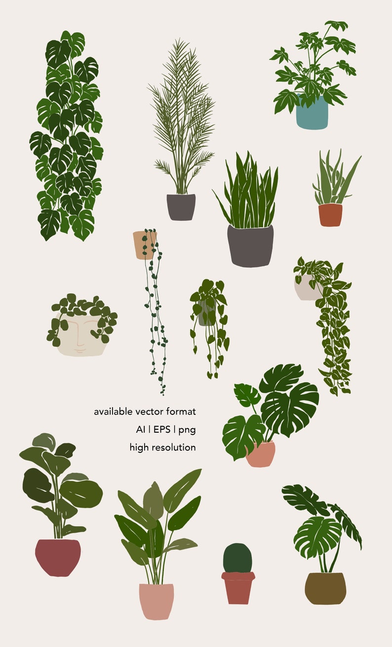 Peut inclure: Une collection de 13 plantes en pot de formes et de tailles vari&eacute;es, dont un palmier haut, un cactus et une vari&eacute;t&eacute; de plantes feuillues. Les plantes sont dans une vari&eacute;t&eacute; de pots, y compris en terre cuite, en brun et en bleu.