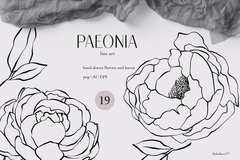 May include: A set of 19 black and white line art illustrations of peonies and leaves. The text "PAEONIA line art" and "hand-drawn flowers and leaves png | AI | EPS" is included in the image.