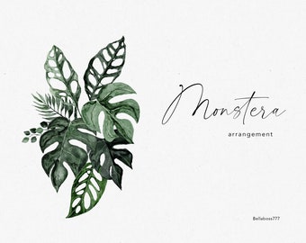 Hojas tropicales, Clipart de hojas, Acuarela Monstera, Monstera Clipart, Clipart de follaje, Clipart botánico, Clipart de vegetación, Monstera PNG