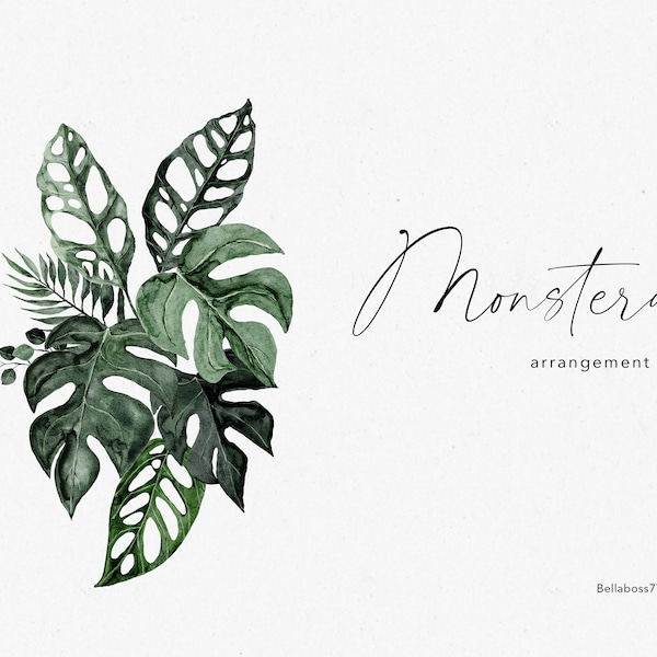 Tropical Leaves, Leaves Clipart, Watercolor Monstera, Monstera Clipart, Foliage Clipart, Botanical Clipart, Greenery Clipart, Monstera PNG