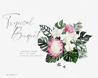 Tropical Flower, Monstera Clipart, Tropical Leaves, Tropical Clipart, Watercolor Flower, Orchid Clipart, Protea, Botanical Clipart, Bouquet