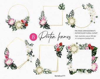 Può includere: Clipart floreale ad acquerello con otto cornici di protea in varie forme, tra cui cerchi e quadrati. Ogni cornice è adornata con fiori ad acquerello, verde e foglie tropicali. Il testo "Protea frames" è anche visibile.