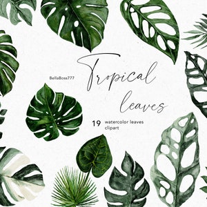Tropical Leaves, Monstera Clipart, Botanical Clipart, Greenery Clipart, Foliage Clipart, Watercolor Clipart, Tropical Foliage, Indoor Plant