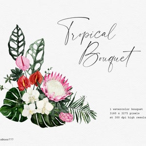 Tropical Flower, Monstera Clipart, Tropical Leaves, Tropical Clipart, Watercolor Flower, Orchid Clipart, Protea, Botanical Clipart, Bouquet