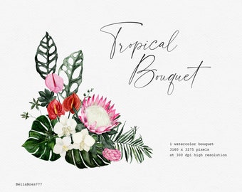 Tropical Flower, Monstera Clipart, Tropical Leaves, Tropical Clipart, Watercolor Flower, Orchid Clipart, Protea, Botanical Clipart, Bouquet