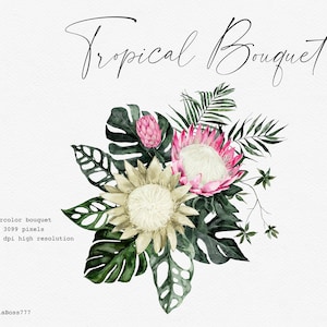 Protea Bouquet, Tropical Flower, Monstera Clipart, Tropical Leaves, Tropical Clipart, Watercolor Flower, Orchid Clipart, Botanical Clipart