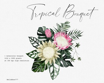 Protea Bouquet, Tropical Flower, Monstera Clipart, Tropical Leaves, Tropical Clipart, Watercolor Flower, Orchid Clipart, Botanical Clipart