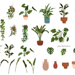 Pflanze Töpfe Clipart, Haus Pflanzen, Gartenarbeit Clipart, Indoor-Pflanze, Pflanze Geschenk für Mama, Pflanze Illustration, Monstera tropischen Blatt botanische