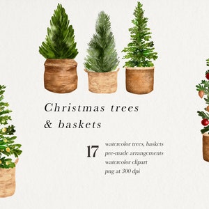Christmas Clipart, Winter Clipart, Christmas Tree Clipart, Greenery Clipart, Watercolor Trees, Foliage Clipart, Winter Tree, Pine Tree PNG
