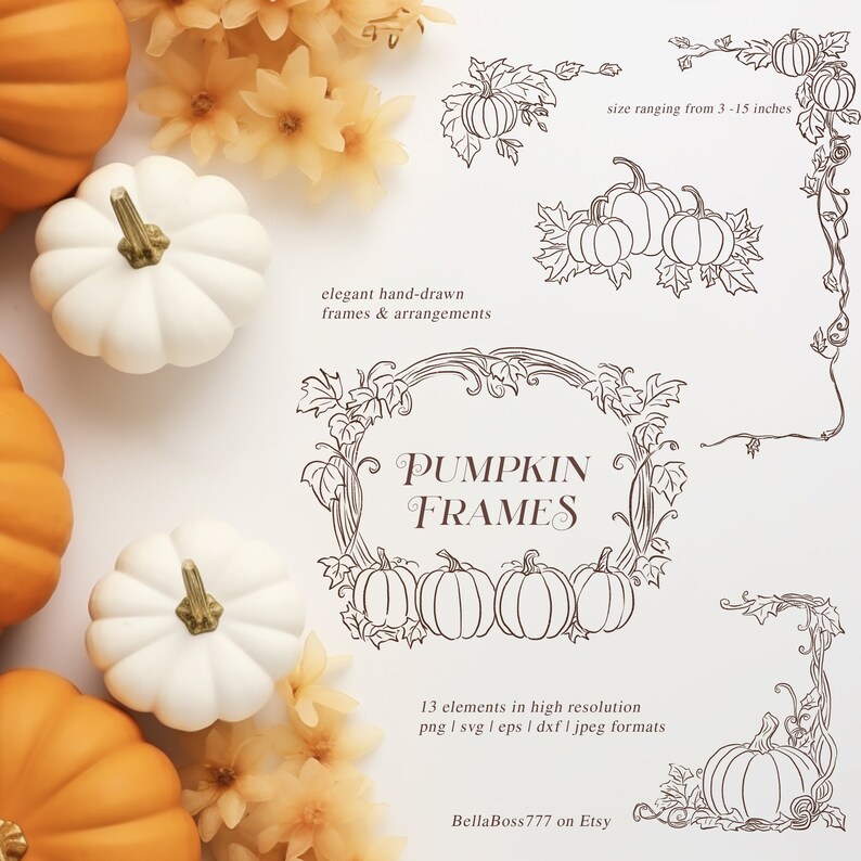 Pumpa Clipart, Pumparamar, Höstbröllop Clipart, Höst Clipart, Pumpateckning, Höst Clipart, Pumpa Line Art, Thanksgiving PNG bild 2