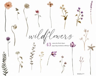 Wildflowers Clipart, Watercolor Flowers, Botanical Clipart, Garden Clipart, Spring Clipart, Summer Flowers, Wildflower Meadow, Floral Art