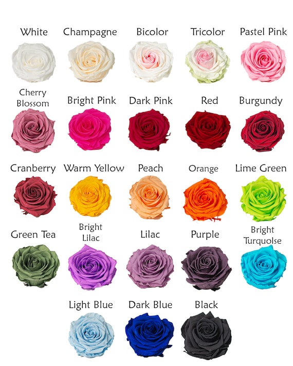 Pack de 4 Rosas Preservadas PREMIUM By Verdissimo / 23 Colores Disponibles  / Venta al por mayor / Rosas eternidad / Last For Years / For DIY -   México