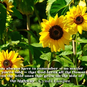 sunflower-quote-print-inspirational-gift-positive-quote-sunflower