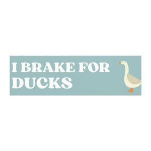 Bumper Magnet- I Brake for Ducks