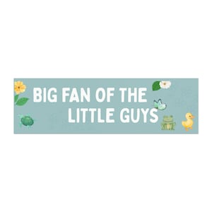 Bumper Magnet- Big Fan of the Little Guys