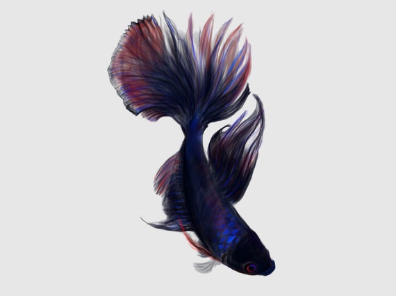 betta fish light