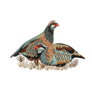 Wild realistic partridge machine embroidery design, unique animal design, machine embroidery patch