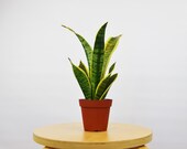 4 quot Snake Plant 39 Laurentii 39 (Sansevieria)