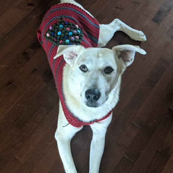 The Christmas Tree Sweater Pet Edition | Crochet Dog Sweater Pattern