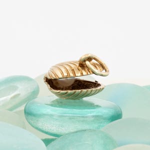 May include: A gold-coloured seashell charm with a textured surface, open to reveal a dark interior. The charm has a small loop for attaching to a necklace or bracelet. It rests on a bed of light blue and clear glass pebbles.
