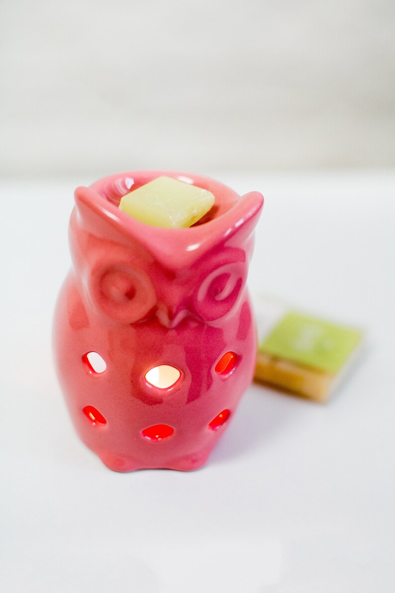 Wax Melt Burner Ceramic Essential Oil Diffuser Handmade Owl Etsy
