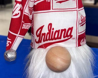 College Team Gnome