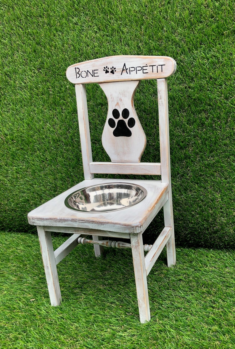 Bone Appetite Raised Dog Feeder