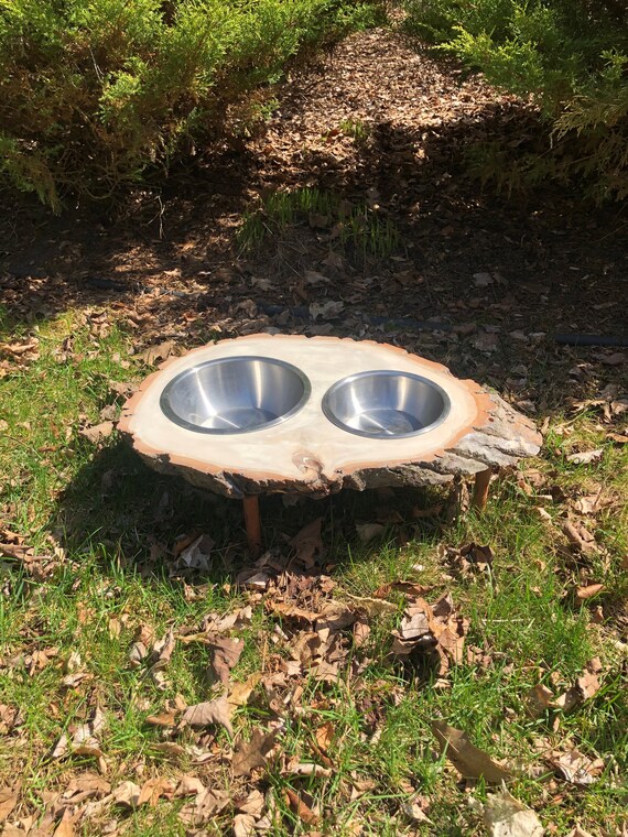 Wood Slab Dog Feeder Etsy