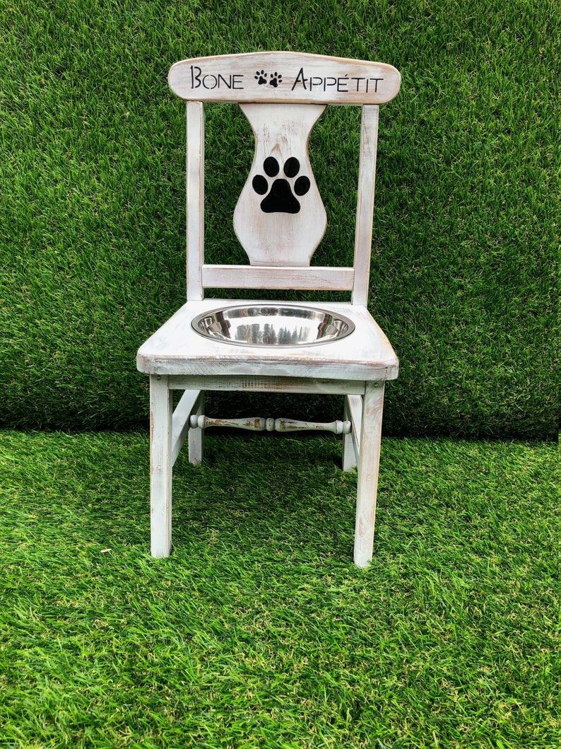 Bone Appetite Raised Dog Feeder