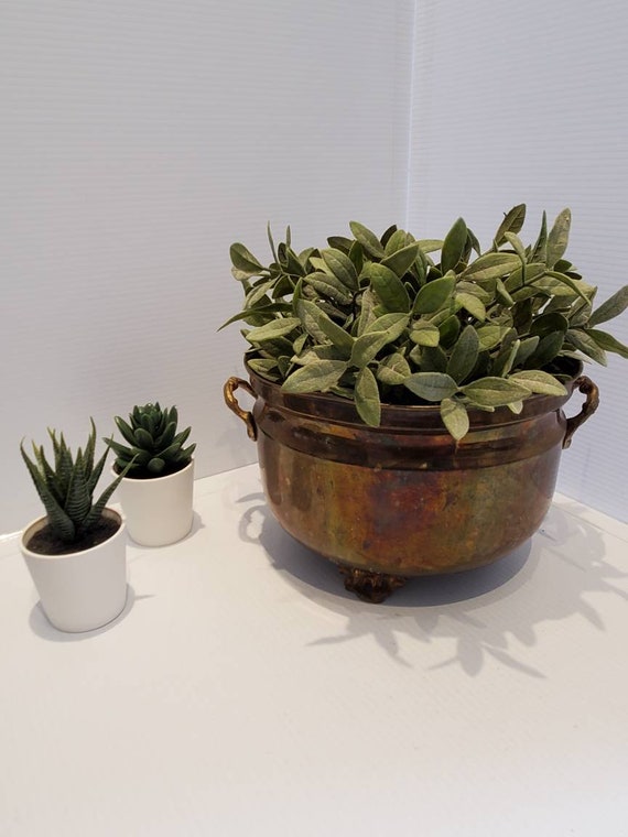 Vintage Footed Brass Planter, Rustic Brass Decor, Old Planters, Brass  Collectibles, Rustic Garden Decor, Plant Pots, Brass Pots, Circa 70s - Etsy