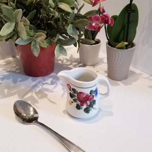 Vintage Floral Österreich Porzellan Milchkännchen, Handbemalt, Restaurantware Milchkännchen, Vintage Teegeschirr, Serviergeschirr, Sammlerstück Milchkännchen