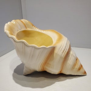 May include: A white ceramic seashell planter with brown accents. The planter is shaped like a conch shell and has a wide opening at the top.