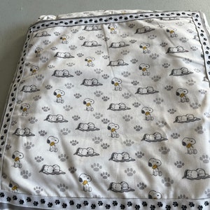 Sleeping Snoopy youth sized blanket