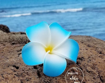 May include: A blue and white plumeria flower with a yellow center, resting on a brown rock with a blurred background of the ocean.