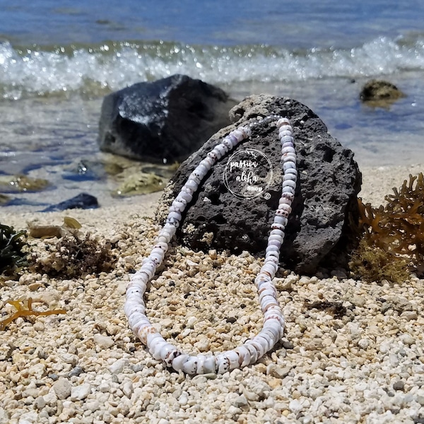Tiger Puka Shell Necklace, Seashell Necklace, Hawaiian Jewelry, Surfer Necklace, Seashell Jewelry, Boho Necklace, Choker, unisex, Maui