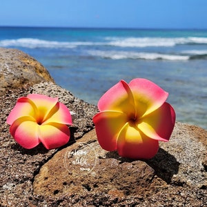 Plumeria Hair Clip, Tropical Hair Clip, Flower Hair Clip, Wedding Hair Flower, Bridal Headpiece, Beach, Fascinator, Hawaiian Hair Clip, Pink