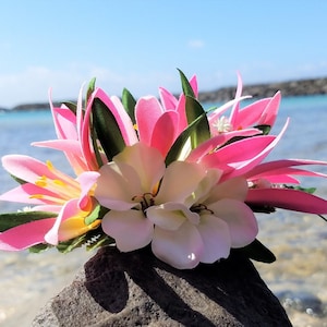 May include: A pink and white flower arrangement with green leaves. The flowers are arranged in a cluster and are sitting on a rock.