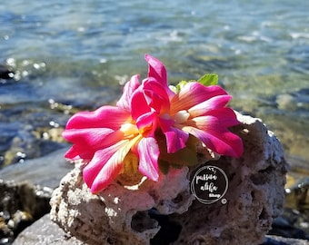 Double Orchid Hair Clip, Tropical Hair Clip, Hawaiian Flower, Fascinator, Silk Flower Hair Clip, Bridal Hair Clip, Beach Party, Pink