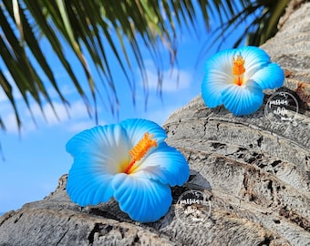 May include: Two blue and white hibiscus flowers with yellow centers are placed on a brown, textured surface. The flowers are partially obscured by palm fronds.