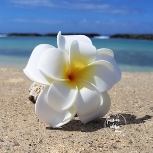 Double Plumeria Hair Clip, Tropical Hair Clip, Bride Headpiece, Wedding Hair Flower, Bridal Headpiece, Beach , Fascinator, Hawaiian, White image 1