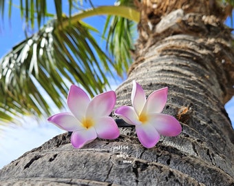 May include: Two pink and white plumeria flowers with yellow centers are attached to a palm tree trunk. The flowers are used as hair clips or accessories.