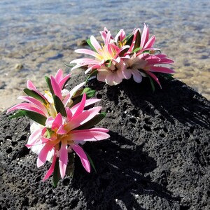 May include: Two pink and white flower hair clips with green leaves. The clips are on a black, textured rock.