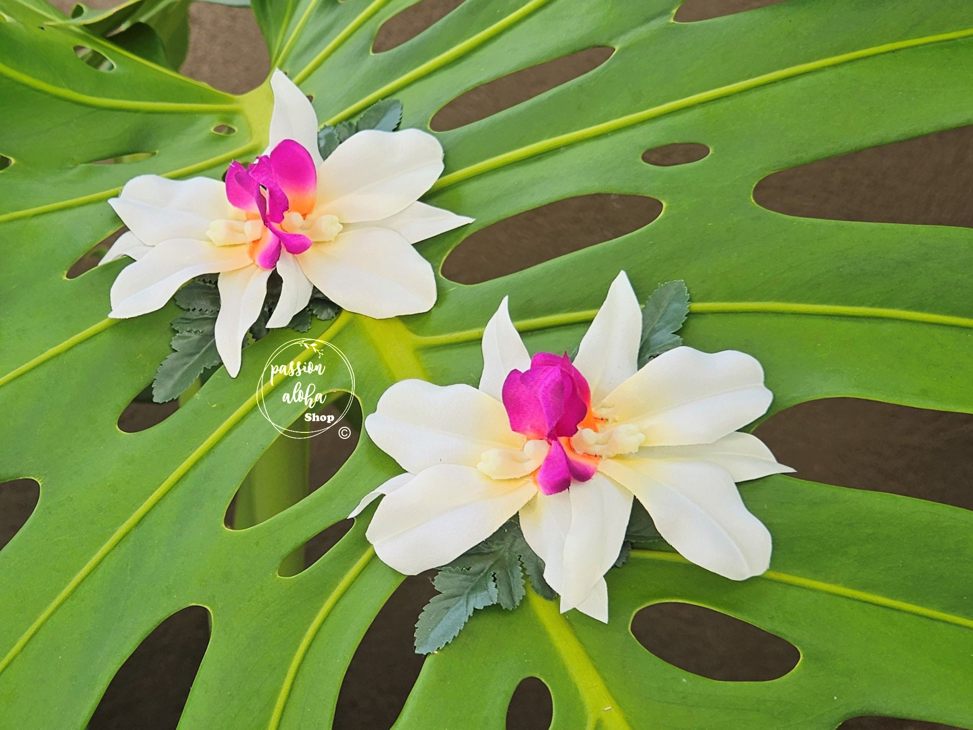 5 Stück Schmetterlings-Orchideen-Haarclips – Bunte Blumen Für Haare, Gürtel & Taschen – Perfekt Für Party, Hochzeit & Strand