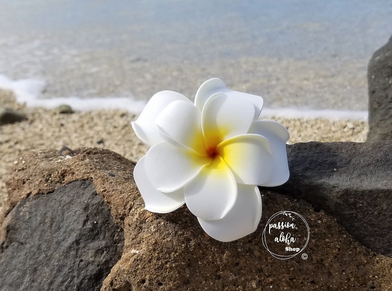 Double Plumeria Hair Clip, Tropical Hair Clip, Bride Headpiece, Wedding Hair Flower, Bridal Headpiece, Beach , Fascinator, Hawaiian, White image 8