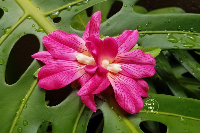 Double Orchid Hair Clip, Tropical Hair Clip, Hawaiian Flower, Fascinator, Silk Flower Hair Clip, Bridal Hair Clip, Beach Party, Pink image 2