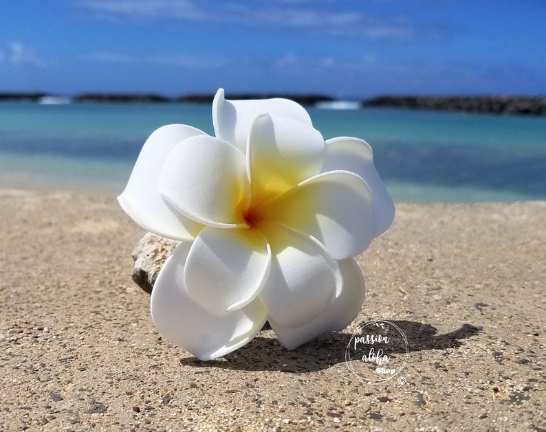 Double Plumeria Hair Clip, Tropical Hair Clip, Bride Headpiece, Wedding Hair Flower, Bridal Headpiece, Beach , Fascinator, Hawaiian, White image 1